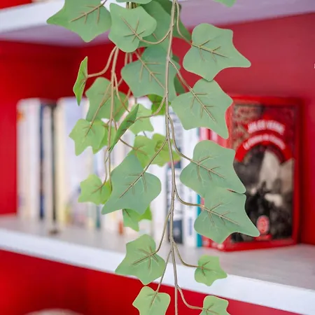 Le Petit Indus Appartamento *