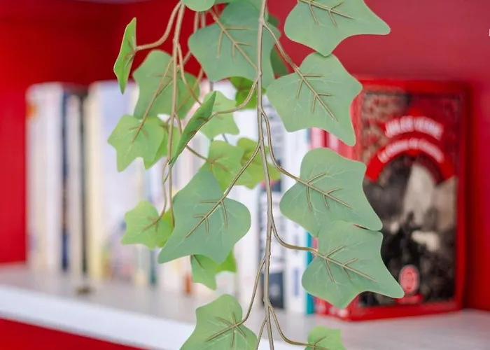 Le Petit Indus Apartmán *